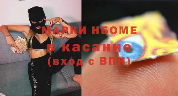 индика Шадринск