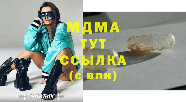 индика Шадринск