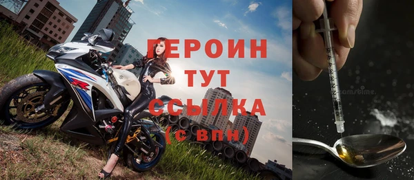 индика Шадринск