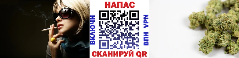 Шишки марихуана планчик Аркадак